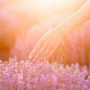 ヒメ日記 2024/12/27 16:31 投稿 芽衣（メイ） アバンチュール(五反田)