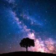 ヒメ日記 2025/02/16 22:16 投稿 芽衣（メイ） アバンチュール(五反田)