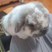 芽衣（メイ） ?? アバンチュール(五反田)