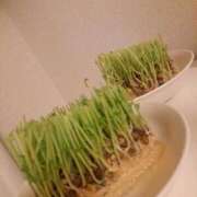 芽衣（メイ） ? アバンチュール(五反田)