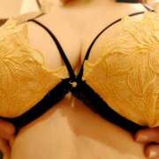 ヒメ日記 2025/05/07 08:39 投稿 ゆう 三毛猫