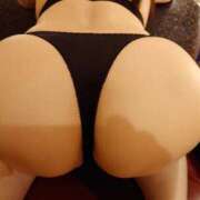 ヒメ日記 2025/05/10 08:30 投稿 ゆう 三毛猫