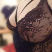 ヒメ日記 2025/07/12 08:30 投稿 ゆう 三毛猫