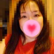 ヒメ日記 2025/08/14 13:07 投稿 ゆう 三毛猫