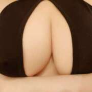 ヒメ日記 2025/09/01 08:30 投稿 ゆう 三毛猫