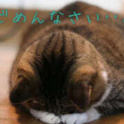 ヒメ日記 2025/02/09 21:20 投稿 ゆり 藤沢人妻城