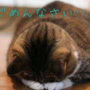 ヒメ日記 2025/03/04 06:34 投稿 ゆり 藤沢人妻城