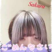 ヒメ日記 2025/02/04 14:25 投稿 さくら ぷよラブ