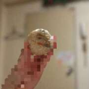 ヒメ日記 2025/02/01 20:20 投稿 はるな ももいろ白書