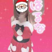 ヒメ日記 2025/12/15 14:46 投稿 はるな ももいろ白書