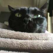 ヒメ日記 2025/01/09 14:38 投稿 福田ちえ Prae(プラエ)