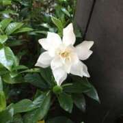 ヒメ日記 2025/06/05 07:22 投稿 福田ちえ Prae(プラエ)