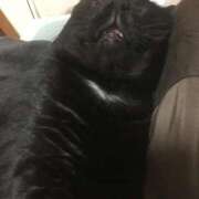 福田ちえ 歩くのは好き Prae(プラエ)