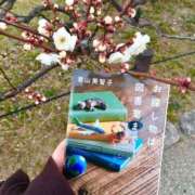 福田ちえ 生きる🫡 Prae(プラエ)