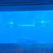 ヒメ日記 2024/12/10 11:36 投稿 ゆう REDROOM (レッドルーム)