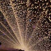 ヒメ日記 2024/12/12 13:19 投稿 ゆう REDROOM (レッドルーム)