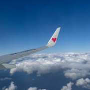 ヒメ日記 2024/12/19 09:46 投稿 立花あおい 華椿