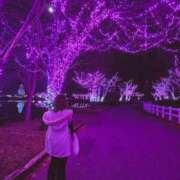 ヒメ日記 2024/12/19 23:52 投稿 ゆん ラブライフ所沢川越