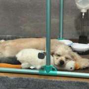 ヒメ日記 2025/01/19 12:24 投稿 ゆん ラブライフ所沢川越