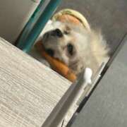 ヒメ日記 2025/01/28 19:13 投稿 ゆん ラブライフ所沢川越