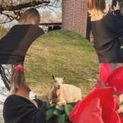 ヒメ日記 2025/04/11 01:42 投稿 ゆん ラブライフ所沢川越