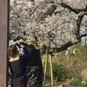 ヒメ日記 2025/04/26 20:37 投稿 ゆん ラブライフ所沢川越