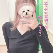 ヒメ日記 2025/04/01 18:09 投稿 梨奈（りな） Hash Style（アッシュスタイル）