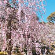 ヒメ日記 2025/03/07 23:15 投稿 あかね 横浜 風俗 妻がオンナに変わるとき