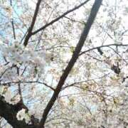 あかね 新年度 横浜 風俗 妻がオンナに変わるとき