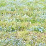 あかね 5月 横浜 風俗 妻がオンナに変わるとき