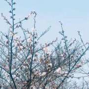 ヒメ日記 2026/03/23 16:38 投稿 ふゆこ 熟女の風俗最終章 高崎店