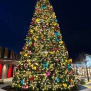 ヒメ日記 2024/12/19 09:17 投稿 遥菜/はるな ANEJE～アネージュ池袋～(ユメオト)