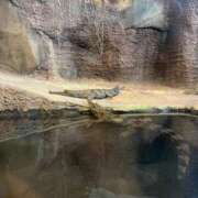 ヒメ日記 2025/02/09 00:26 投稿 遥菜/はるな ANEJE～アネージュ池袋～(ユメオト)