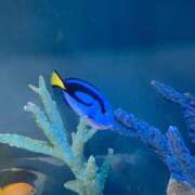 ヒメ日記 2025/07/25 21:17 投稿 遥菜/はるな ANEJE～アネージュ池袋～(ユメオト)