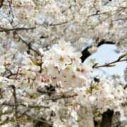 ヒメ日記 2025/04/06 12:05 投稿 きらり 熟女家 ミナミエリア店