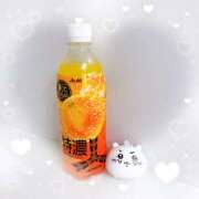 ヒメ日記 2024/12/24 21:00 投稿 とうり 世界のあんぷり亭 鶯谷