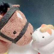 ヒメ日記 2025/11/05 03:14 投稿 じゅん 神戸3040（神戸サーティフォーティ）