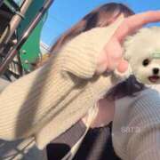 ヒメ日記 2025/11/21 16:47 投稿 さら 君とふわふわプリンセスin西川口