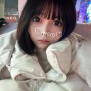 ヒメ日記 2025/02/26 20:24 投稿 めろ ミスターダンディ パート2