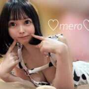 ヒメ日記 2025/03/22 12:50 投稿 めろ ミスターダンディ パート2