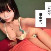 ヒメ日記 2025/04/12 20:52 投稿 めろ ミスターダンディ パート2