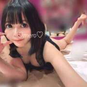 ヒメ日記 2025/05/24 20:49 投稿 めろ ミスターダンディ パート2