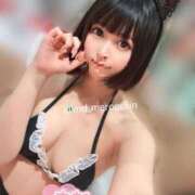 ヒメ日記 2026/04/14 23:02 投稿 めろ ミスターダンディ パート2