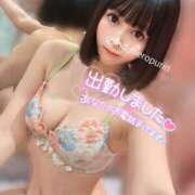 ヒメ日記 2026/04/27 09:51 投稿 めろ ミスターダンディ パート2