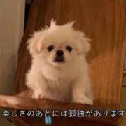 ヒメ日記 2026/05/23 20:21 投稿 めろ ミスターダンディ パート2