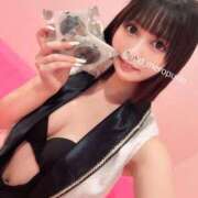 ヒメ日記 2026/06/29 14:02 投稿 めろ ミスターダンディ パート2