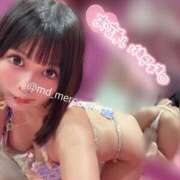 ヒメ日記 2026/08/18 17:08 投稿 めろ ミスターダンディ パート2