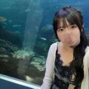 ヒメ日記 2025/09/13 13:30 投稿 ひな ミスターダンディ パート2