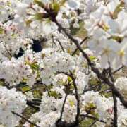 ヒメ日記 2026/03/31 14:07 投稿 前田ゆい 若奥サマンサ（横浜ハレ系）