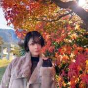 ヒメ日記 2024/12/24 11:24 投稿 ましろ 桃李（とうり）